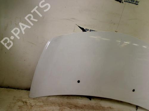 Hood RENAULT CLIO III (BR0/1, CR0/1) 1.5 dCi | BP16213842C1 