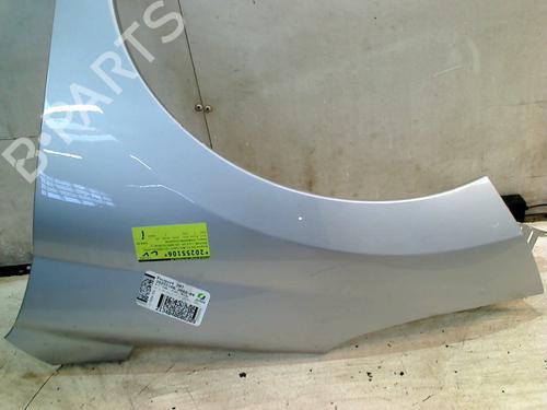 Left front fenders PEUGEOT 207 CC (WD_) 1.6 16V | BP29360928C41 