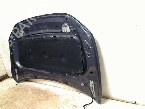 Hood VW POLO VI (AW1, BZ1, AE1) 1.0 TSI | BP31754986C1 