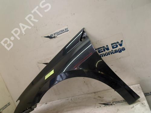 Left front fenders RENAULT LAGUNA III (BT0/1) 2.0 16V Turbo | BP12589544C41 