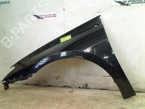 Left front fenders RENAULT LAGUNA III (BT0/1) 1.5 dCi (BT00, BT0A, BT0T, BT1J) | BP24629384C41 