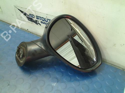 Right mirror FIAT PUNTO EVO (199_) 1.3 D Multijet | BP11326943C27 