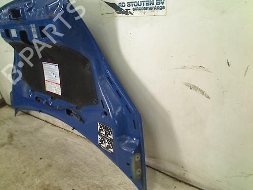 Hood FIAT FIORINO Box Body/MPV (225_) 1.3 D Multijet (225BXD1A, 225BXB1A, 225BXB11) | BP25591111C1