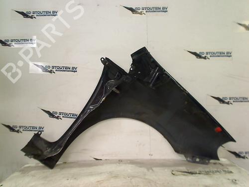 Left front fenders FIAT GRANDE PUNTO (199_) 1.3 D Multijet | BP16029238C41 