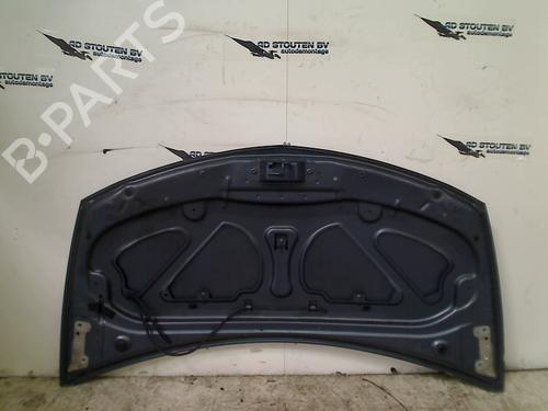 Hood RENAULT CLIO III (BR0/1, CR0/1) 1.6 16V (BR05, BR0B, BR0Y, BR15, BR1J, BR1M, BR1Y, CR0B,... | BP13387790C1 