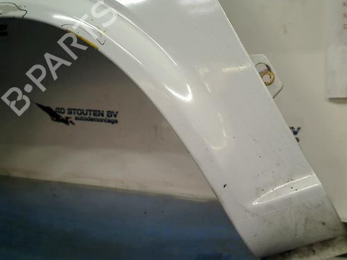 Left front fenders MERCEDES-BENZ VITO / MIXTO Van (W639) 109 CDI (639.601, 639.603, 639.605) | BP14347419C41 