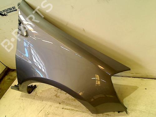 Right front fenders RENAULT CLIO III (BR0/1, CR0/1) 1.5 dCi | BP18319484C42 