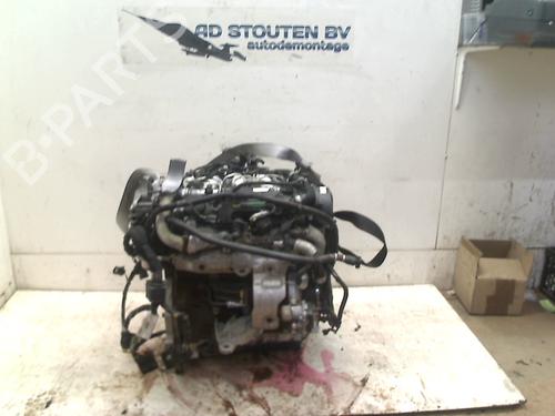 Motor für JAGUAR XF SPORTBRAKE (X250) 2.2 D (163 hp) 11262777