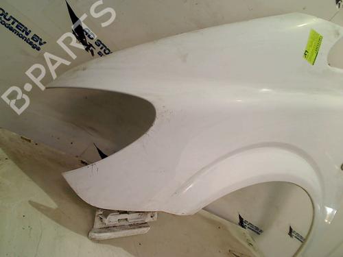 Left front fenders MERCEDES-BENZ VITO / MIXTO Van (W639) 109 CDI (639.601, 639.603, 639.605) | BP16914865C41 