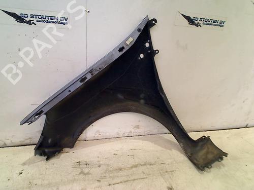 Right front fenders RENAULT CLIO III (BR0/1, CR0/1) 1.5 dCi | BP18319484C42 