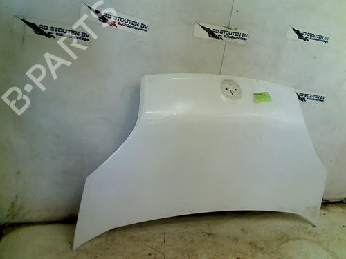 Hood FIAT FIORINO Box Body/MPV (225_) 1.3 D Multijet (225BXD1A, 225BXB1A, 225BXB11) | BP25591135C1 