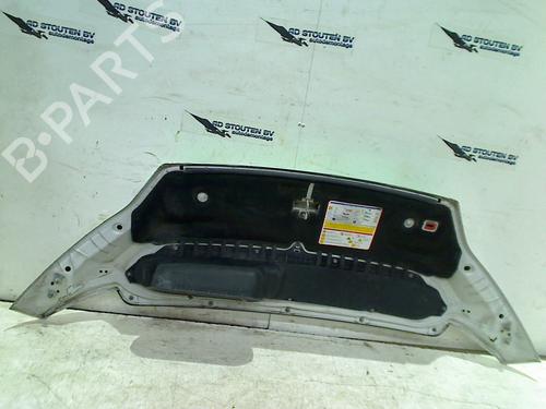 Hood FIAT DUCATO Platform/Chassis (250_) 180 Multijet 3,0 D | BP16333087C1 