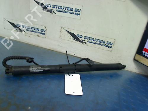 Used Tailgate BMW X5 (F15, F85) xDrive 40 d (313 hp) 21212803