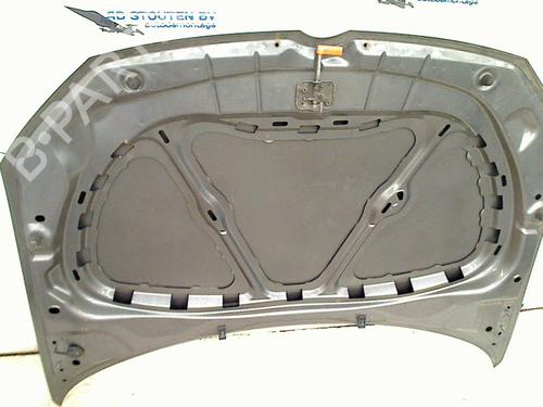 Hood VW POLO V (6R1, 6C1) 1.2 TSI | BP24202923C1