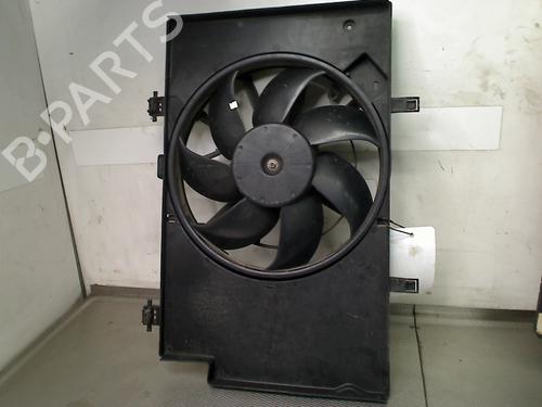 Fan FORD FIESTA VI (CB1, CCN) 1.6 Ti | BP31942209M128 