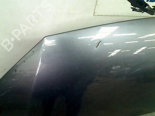 Hood VW POLO V (6R1, 6C1) 1.2 TSI | BP24202923C1