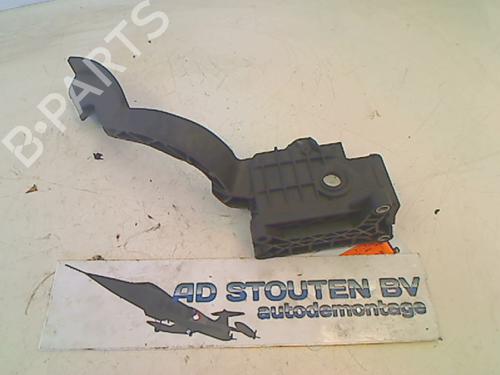 Pedal FIAT PUNTO EVO (199_) 1.3 D Multijet | BP13123524I4