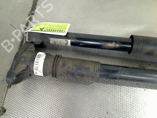 Right rear shock absorber PEUGEOT 208 II (UB_, UP_, UW_, UJ_) e-208 | BP30804169M19