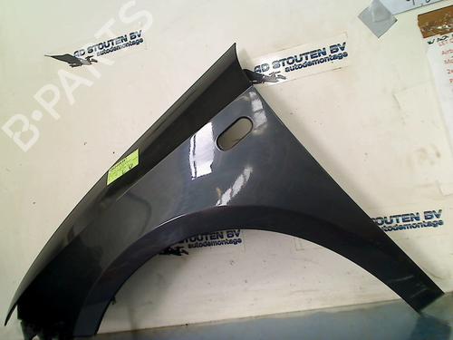 Left front fenders SEAT IBIZA IV (6J5, 6P1) 1.2 TDI | BP18901278C41 