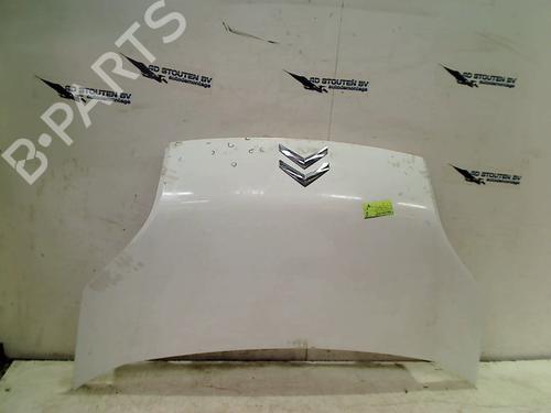 hood-citroen-nemo-box-bodympv-aa_-13-hdi-75-2008-16282496 main image