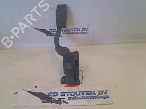 Pedal FIAT PUNTO EVO (199_) 1.3 D Multijet | BP13123524I4