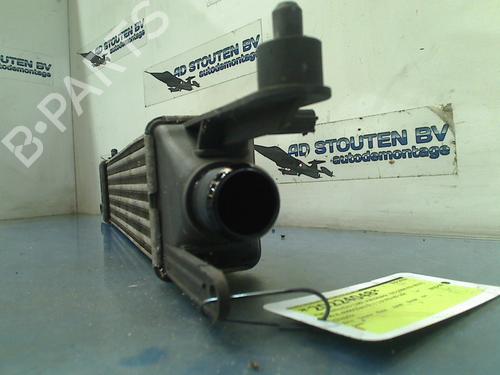 Intercooler FIAT PUNTO EVO (199_) 1.3 D Multijet | BP11326648M30 