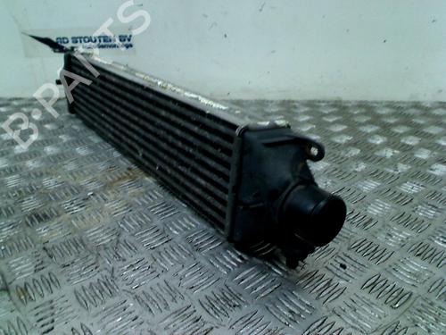 Intercooler FIAT GRANDE PUNTO (199_) 1.4 T-Jet (199AXM1A, 199BXM1A, 199BXN1A) | BP11303077M30 