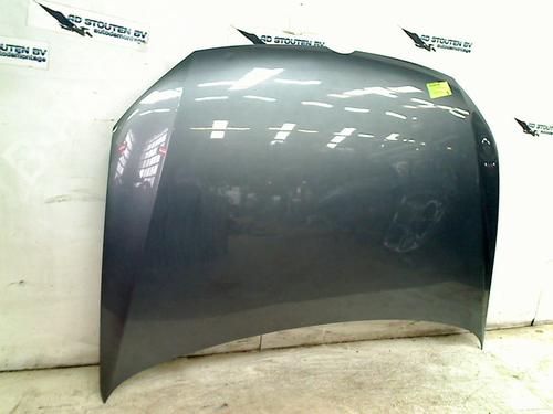 Used Hood VW POLO V (6R1, 6C1) 1.2 TSI (90 hp) 24202923