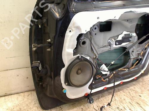 Right front door FIAT PUNTO EVO (199_) 1.3 D Multijet | BP11326985C3