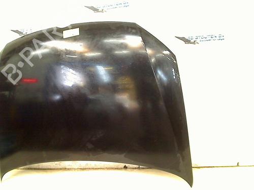 Hood VW POLO V (6R1, 6C1) 1.2 | BP21382222C1