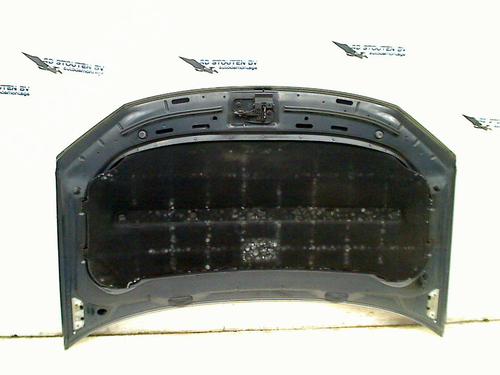 Hood VW TOURAN (1T1, 1T2) 1.9 TDI | BP21516083C1 