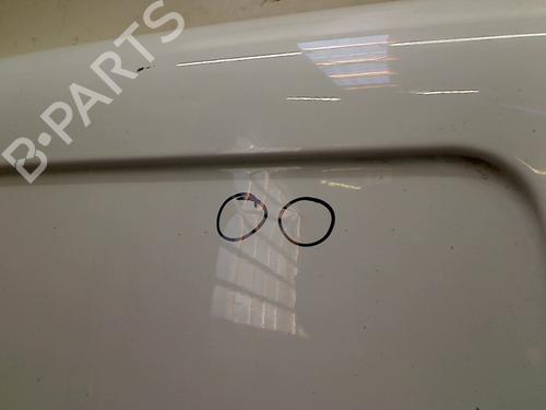 Right tailgate FORD TRANSIT CONNECT (P65_, P70_, P80_) 1.8 Di | BP12590262C77 