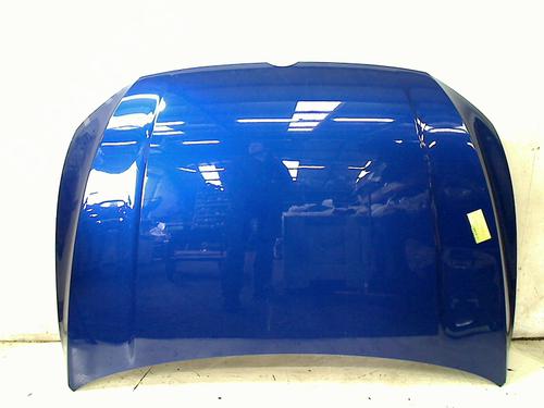 Used Hood Hood VW GOLF VIII (CD1, DA1) 2.0 TSI R 4motion (320 hp) 36436349 36436349