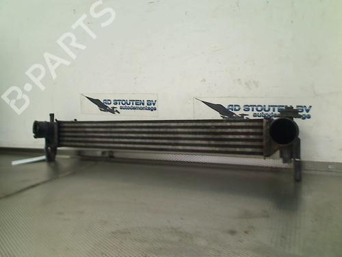 Intercooler SEAT IBIZA IV (6J5, 6P1) 1.2 TDI | BP25213989M30 