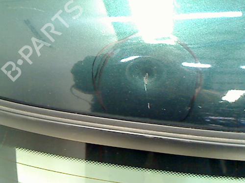 Tailgate MINI MINI (R50, R53) One | BP11301868C6 