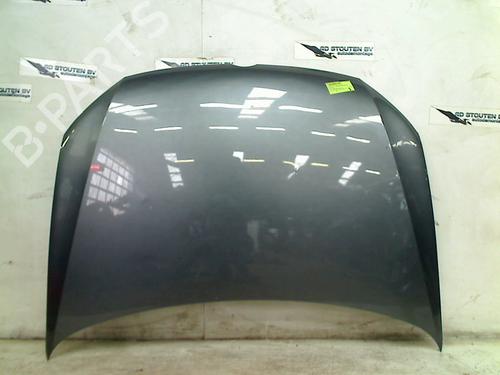 Hood VW POLO V (6R1, 6C1) 1.2 TSI | BP24202923C1