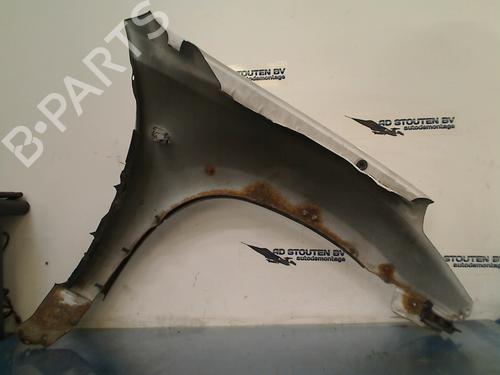 Forkjerm venstre TOYOTA RAV 4 II (_A2_) 2.0 D 4WD (CLA20_, CLA21_, CLA20R, CLA21R) | BP14936425C41 