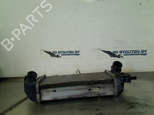 Used Intercooler FIAT 500 (312_) 0.9 (312AXG1A, 312.AXG11) (86 hp) 25754654