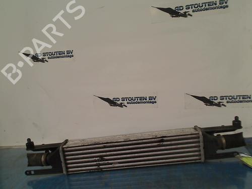 Used Intercooler FIAT GRANDE PUNTO (199_) 1.3 D Multijet (84 hp) 13711191
