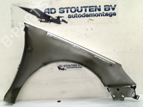 Left front fenders OPEL INSIGNIA A Sports Tourer (G09) 1.8 (35) | BP11322808C41 