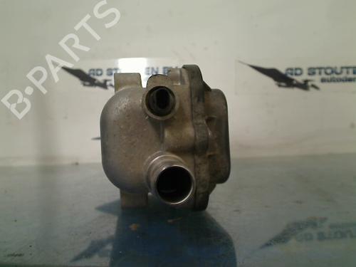 Expansion tank HYUNDAI IONIQ (AE) Electric | BP19934730C120 