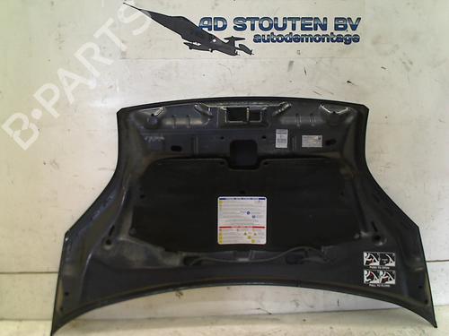 Hood FIAT FIORINO Box Body/MPV (225_) 1.3 D Multijet (225BXD1A, 225BXB1A, 225BXB11) | BP11320550C1