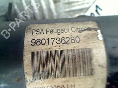 Venstre fortil støddæmper CITROËN C3 II (SC_) 1.6 HDi | BP11260166M16