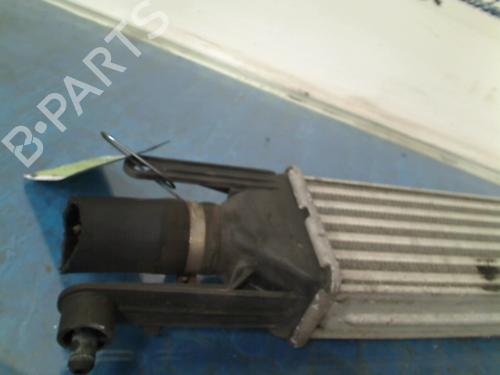 Intercooler FIAT GRANDE PUNTO (199_) 1.3 D Multijet | BP13711191M30 