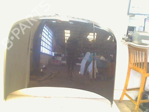 Used Hood LAND ROVER RANGE ROVER SPORT I (L320) 2.7 D 4x4 (190 hp) 11317904