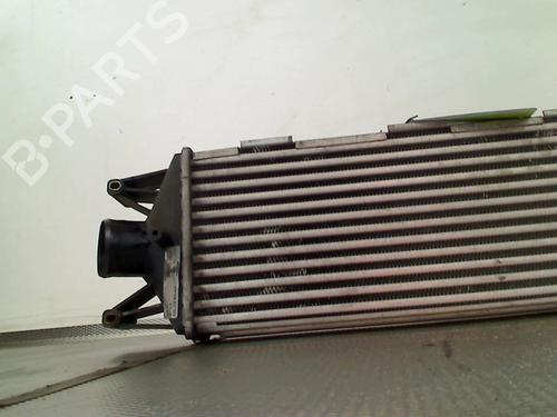 Intercooler IVECO DAILY IV Van 29L14 C, 29L14 C/P, 29L14 V, 29L14 V/P | BP32365353M30 - Image 3