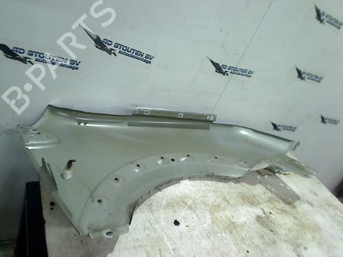 Left front fenders FORD TRANSIT CONNECT (P65_, P70_, P80_) 1.8 Di | BP16407466C41 