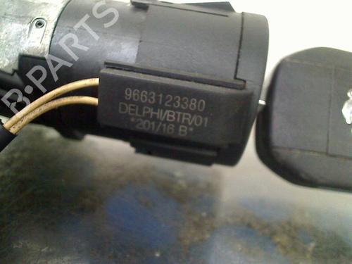 Ignition barrel PEUGEOT 308 II (LB_, LP_, LW_, LH_, L3_) 1.6 BlueHDi 120 | BP24931690M48 