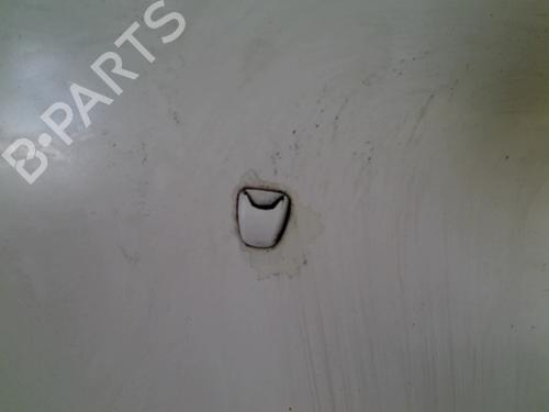 Hood FIAT BRAVO II (198_) 1.6 D Multijet (198AXH1B) | BP15607776C1 