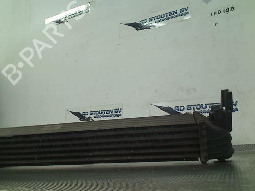 Intercooler SEAT IBIZA IV (6J5, 6P1) 1.2 TDI | BP25213989M30 